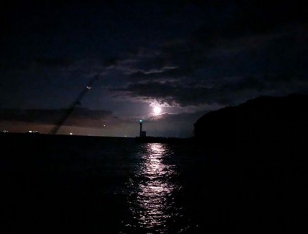 由良にお魚はいないんかーい