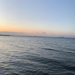 平目と思いきや〜