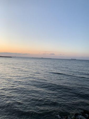 平目と思いきや〜