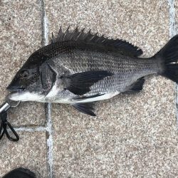 地上は強風、水中は激流