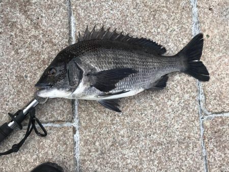 地上は強風、水中は激流