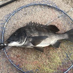 なかなかなかなかなかなかの、パワー