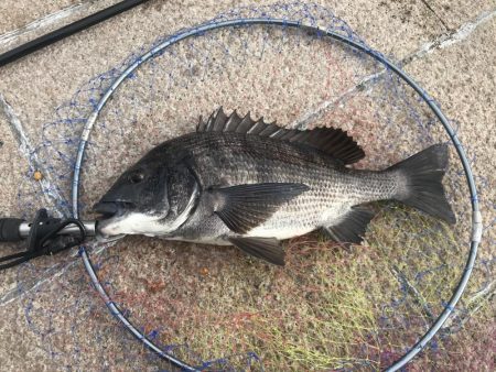 なかなかなかなかなかなかの、パワー