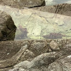 ショアジギング