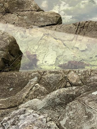 ショアジギング