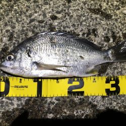 下げ潮のすごさ