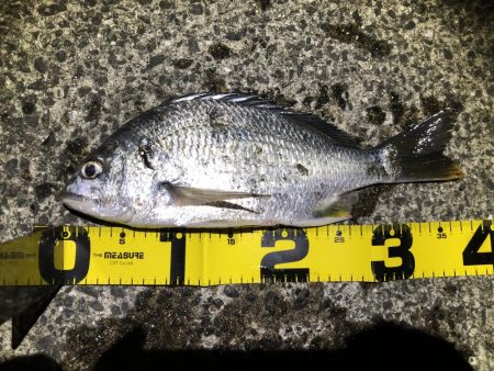 下げ潮のすごさ