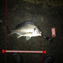 1月15日シェイクでキャッチ