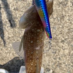 プラグでエソさん