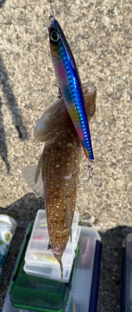 プラグでエソさん