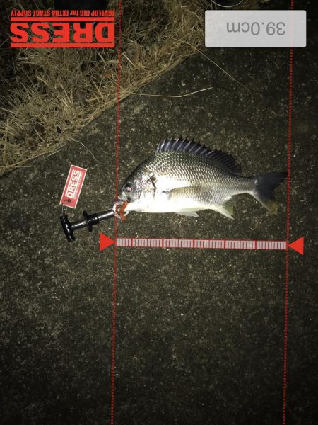 1月24日ラインブレイクのバラシはアカン