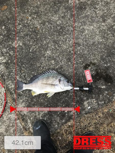 1月22日デーゲーム