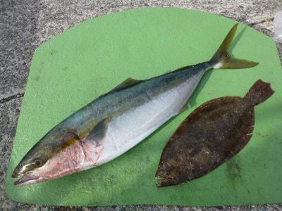 念願のブリゲット