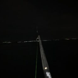 今年初ヤリイカゲット