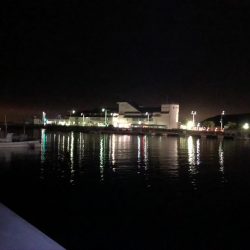 漁港内マイクロフィッシング