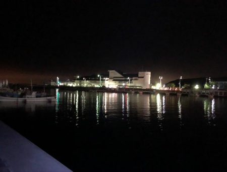 漁港内マイクロフィッシング