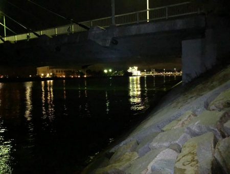 水質が綺麗すぎて、魚がいなそう・・