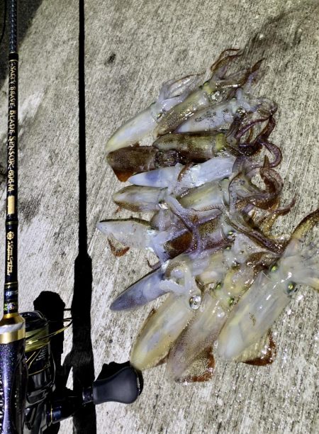 ライトエギング