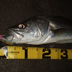 寒さに耐えて1バイトをものに