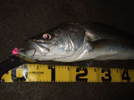 寒さに耐えて1バイトをものに