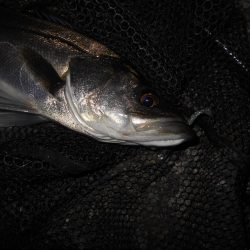 これから厳しくなりそう…。