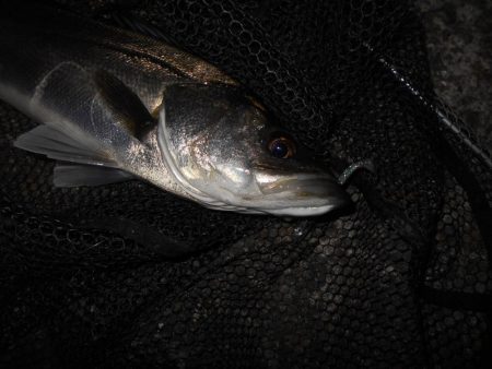 これから厳しくなりそう…。