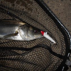 厳しいですね…