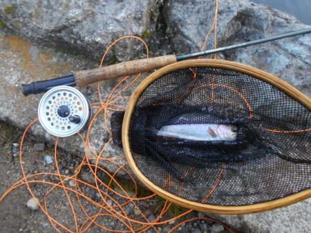 千早川マス釣り場でフライフィッシング