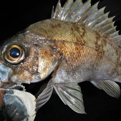 今日も荒れてます