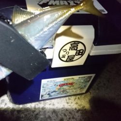 新春アジング！！