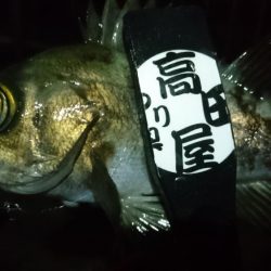 今夜も少しだけ