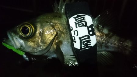 今夜も少しだけ