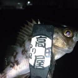 短時間勝負！！