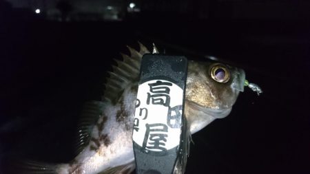 短時間勝負！！