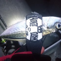 いよいよ終了？！