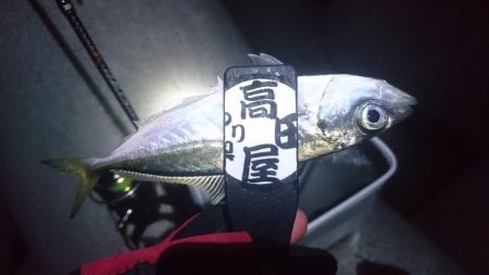 いよいよ終了？！