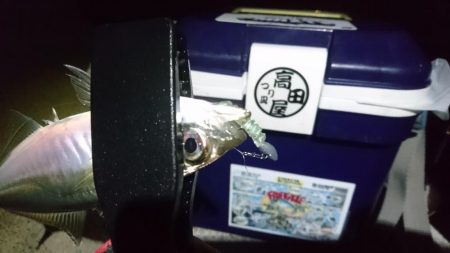 今夜もアジ！！