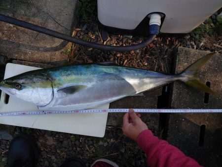 ショアジギング初めての大物