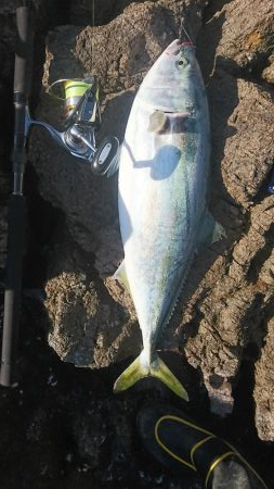 釣り納めショアジギング