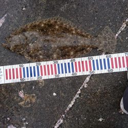 釣り納め最終日