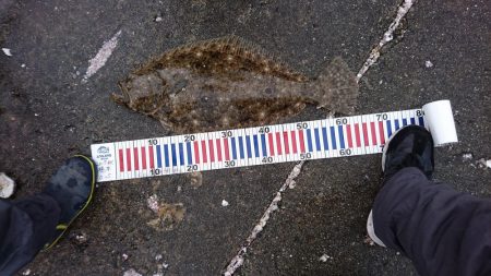 釣り納め最終日