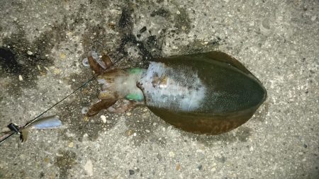 明けましておめでとう初釣り行って来ました。…