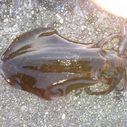 いつもと違う場所へ冒険