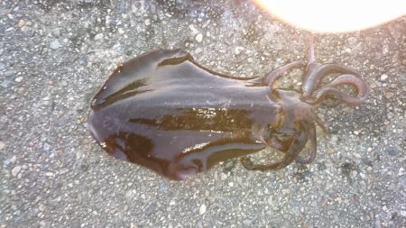 いつもと違う場所へ冒険