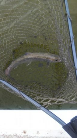 松原フィッシングパーク