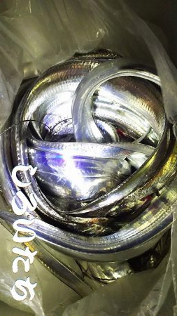 和歌山遠征。１月２回め。