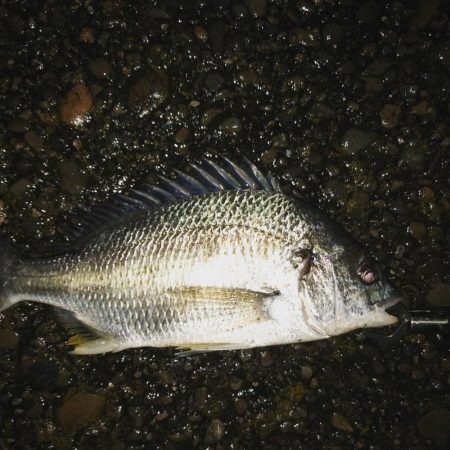 ライトゲーム ！！