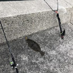 ショアタイラバ