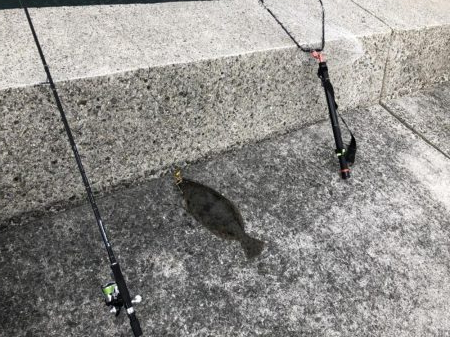 ショアタイラバ