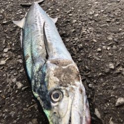 初めてのサーフ